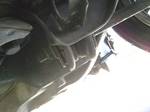 ALC_20120505_Bush_02.jpg