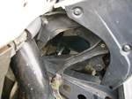 ALC_20120624_horn.jpg