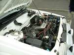 ALC_20130420_05.jpg