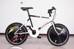 CYC_20121231_Bullet.jpg