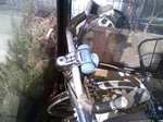 CYC_20130110.jpg